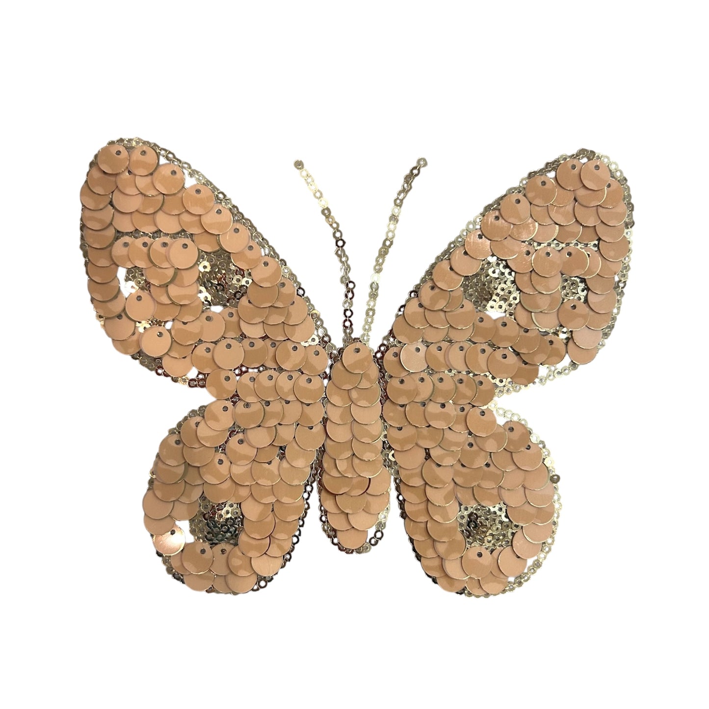 Reversible Sequence Butterfly Patch