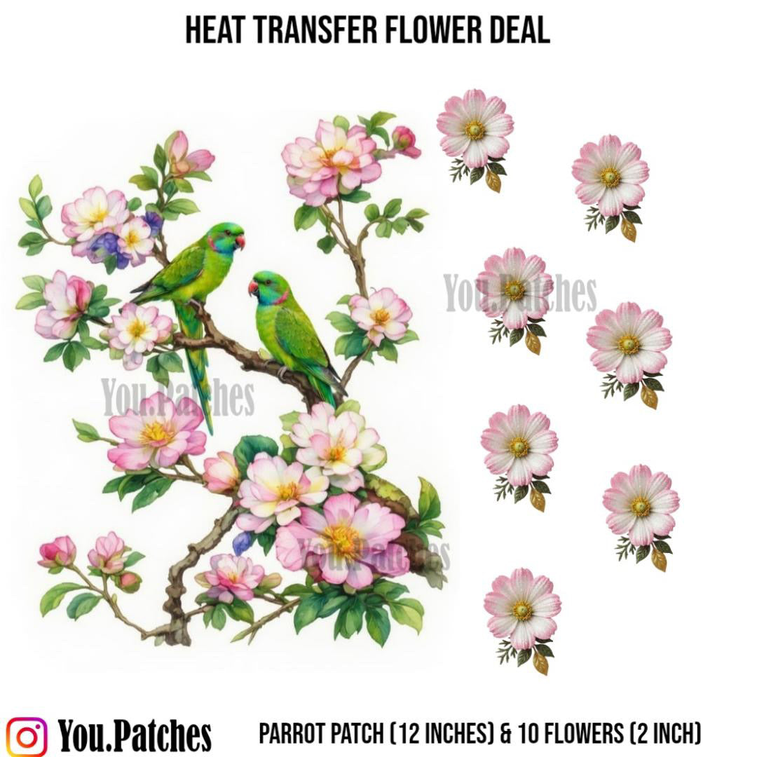 Heat Transfer Parrot Deal